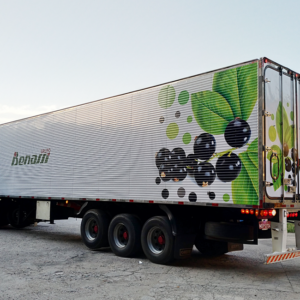 Kit adesivo Baú Corrugado - Carreta